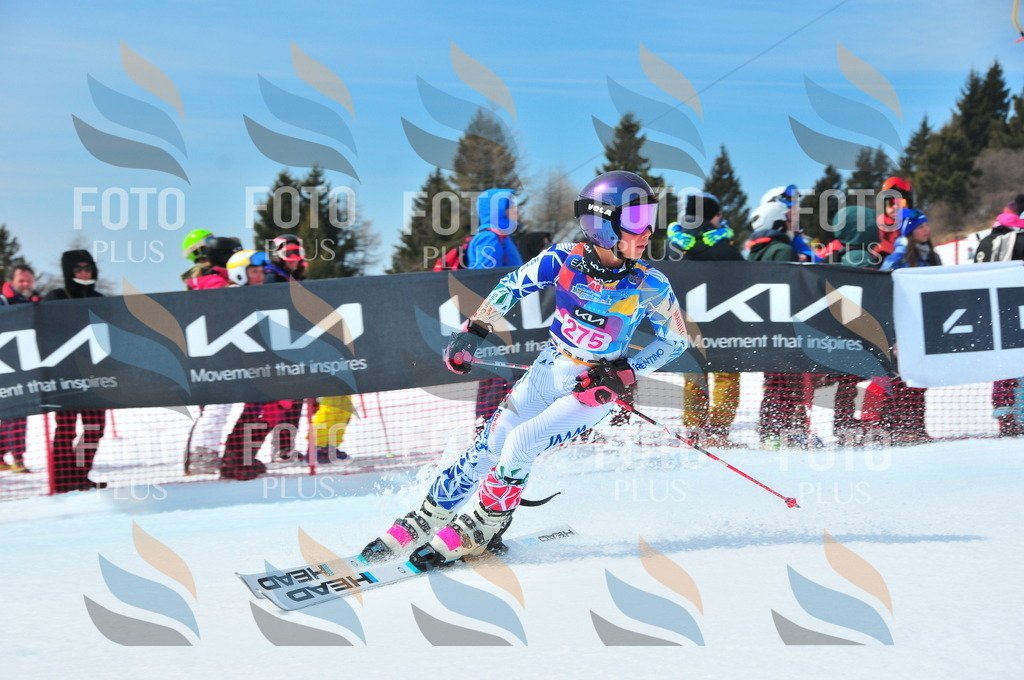 DSC_6318 | holidayphoto