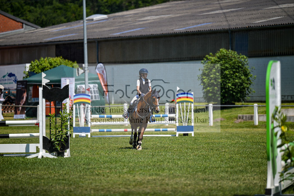 Reitturnier Voxtrup | Entdecke hochwertige Reitturnierfotos von Foto Oger. Professionell, emotional und authentisch – jetzt Lieblingsmomente im Shop bestellen. - Realisiert mit Pictrs.com