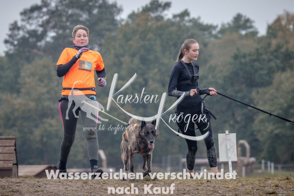 1201_ZZ97870 | kk-dogfotos