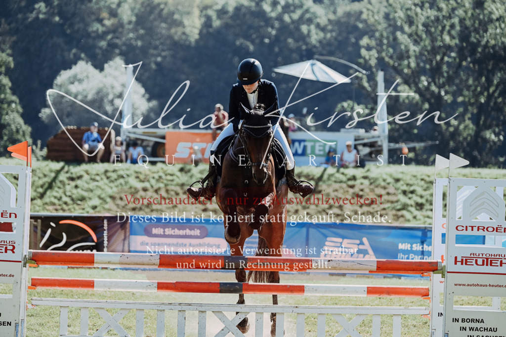 DSC_5869 | Pferde- und Turnierfotografie in Westsachsen. Pferdeportraits, Auftragszeichnungen und intuitive Kunst.
