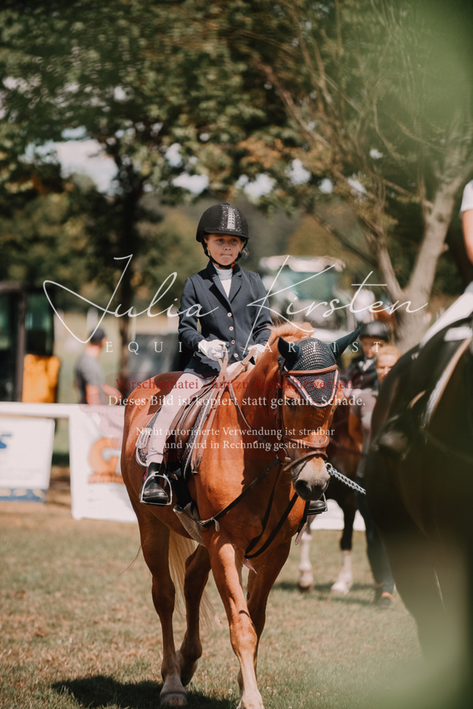 DSC_6197 | Pferde- und Turnierfotografie in Westsachsen. Pferdeportraits, Auftragszeichnungen und intuitive Kunst.