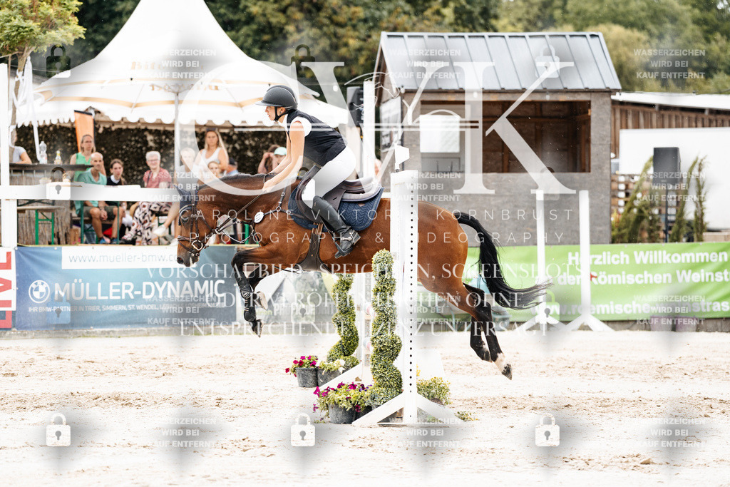 CK908757 | Turnierfotografie Pferdefotografie Trier Rheinland-Pfalz Pferdesport Reitsport Tierfotografie Sportfotografie Pferdevideo Pferdevideografie Equestrianvideography equestrianphotography  - Realisiert mit Pictrs.com