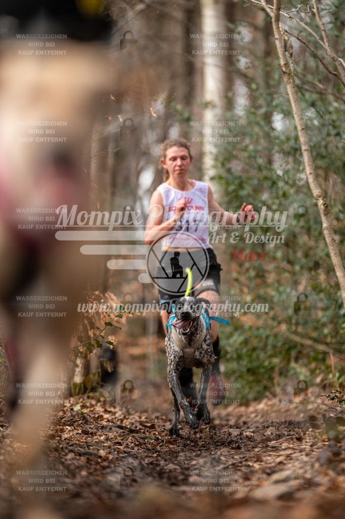 SPA_2023_DIM_CCK-96 | PayLife