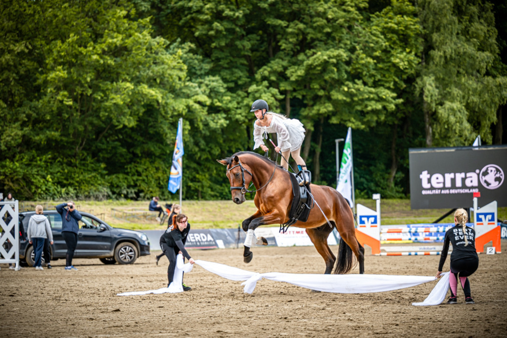 Sielturnier 2026 | Entdecke hochwertige Reitturnierfotos von Foto Oger. Professionell, emotional und authentisch – jetzt Lieblingsmomente im Shop bestellen.Deutschlandweite Turnierfotografie. - Realisiert mit Pictrs.com