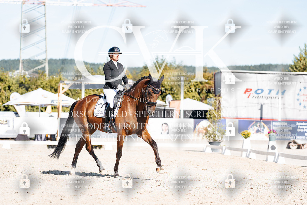 CK908302 | Turnierfotografie Pferdefotografie Trier Rheinland-Pfalz Pferdesport Reitsport Tierfotografie Sportfotografie Pferdevideo Pferdevideografie Equestrianvideography equestrianphotography  - Realisiert mit Pictrs.com