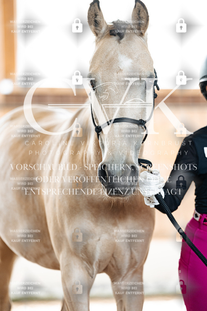 CK907176 | Turnierfotografie Pferdefotografie Trier Rheinland-Pfalz Pferdesport Reitsport Tierfotografie Sportfotografie Pferdevideo Pferdevideografie Equestrianvideography equestrianphotography  - Realisiert mit Pictrs.com