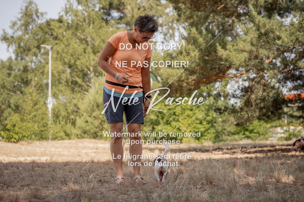 nelerasche_soDD2_218 | nelerasche