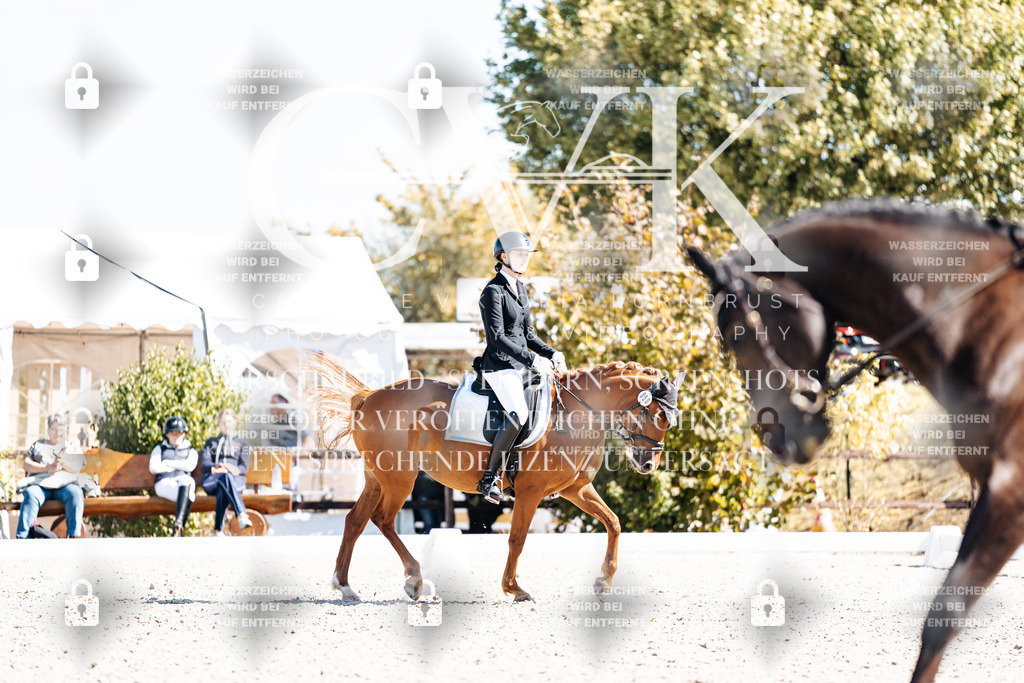 CK903632 | Turnierfotografie Pferdefotografie Trier Rheinland-Pfalz Pferdesport Reitsport Tierfotografie Sportfotografie Pferdevideo Pferdevideografie Equestrianvideography equestrianphotography  - Realisiert mit Pictrs.com