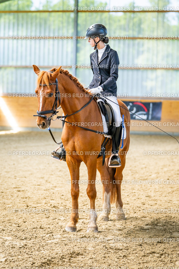 DSC03489 | Pferdegrafie