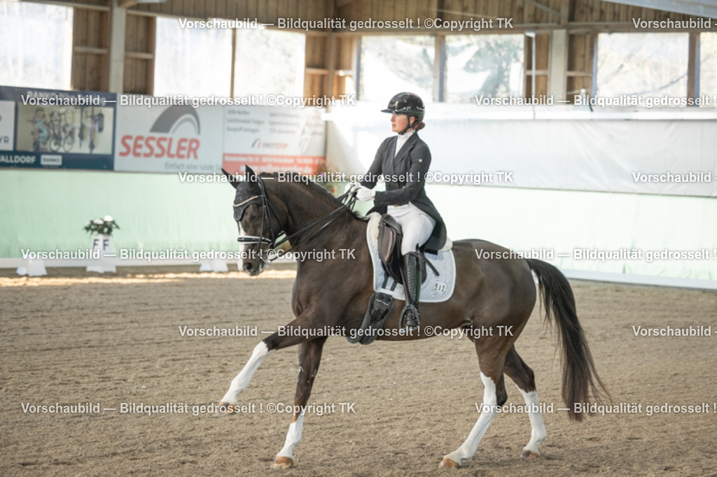 _D5A7875 | Emotionale Pferde- & People-Fotografie rund um Heidelberg, Leimen & Umgebung. Natürliche Fotos von Pferd, Mensch & Familie. Jetzt Termin sichern!