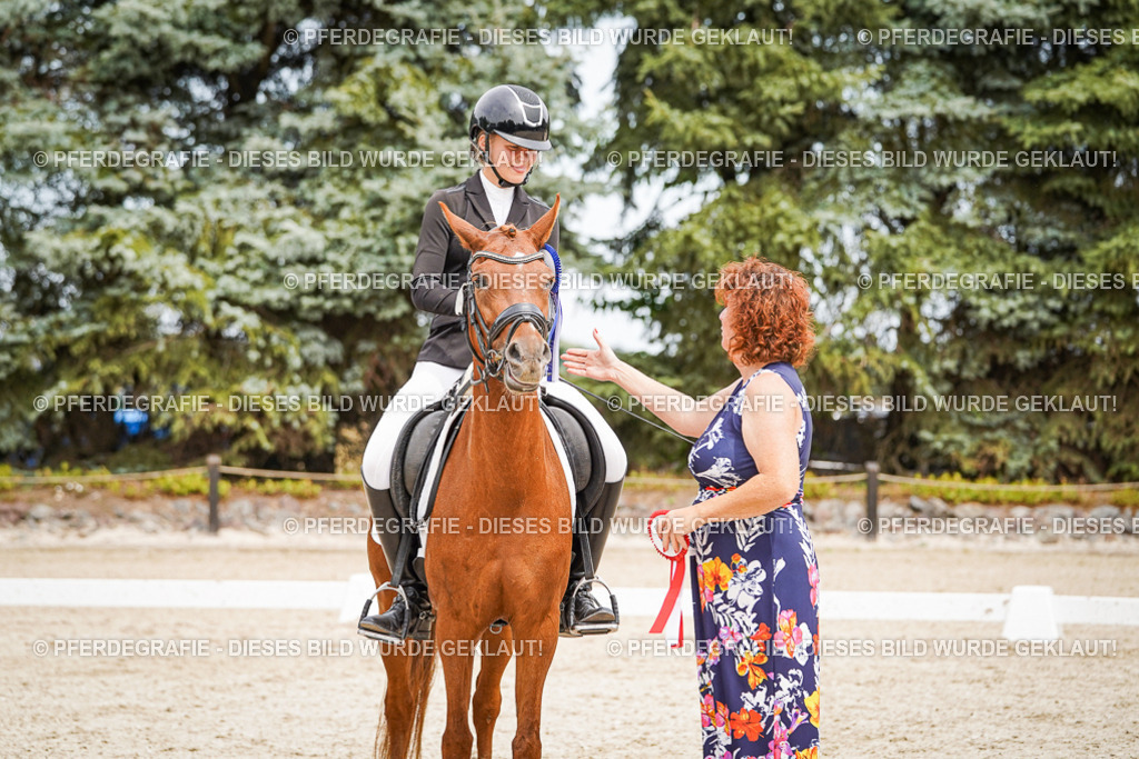 DSC04552 | Pferdegrafie