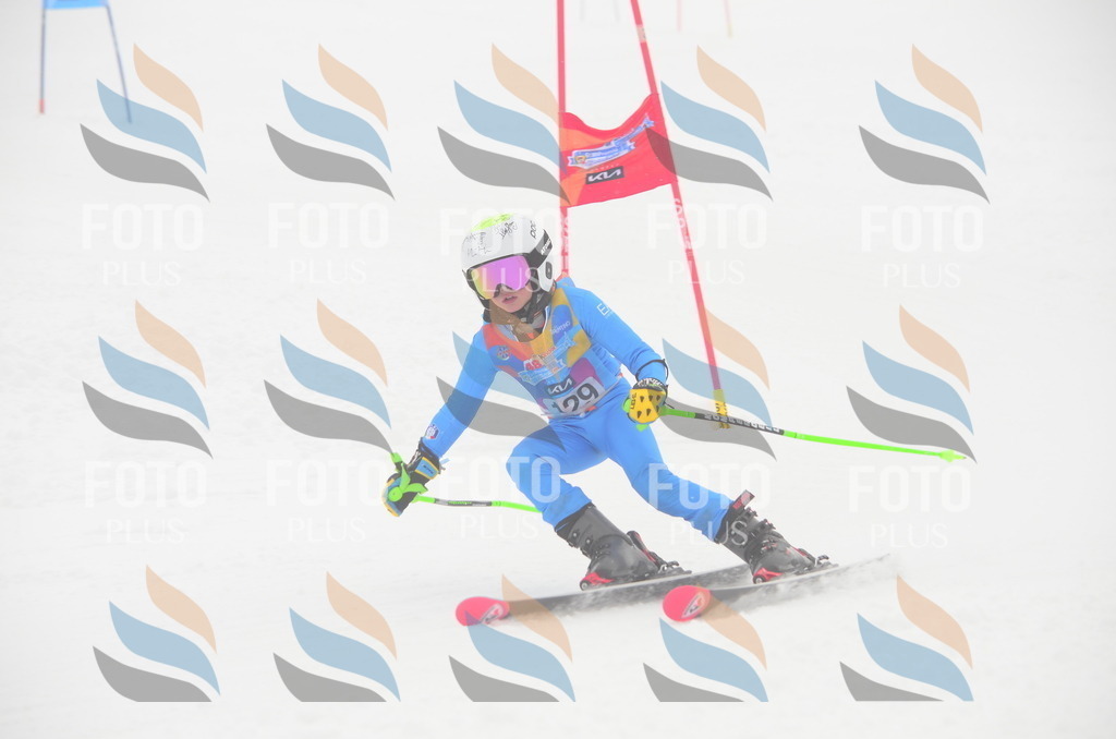 C1617 | holidayphoto