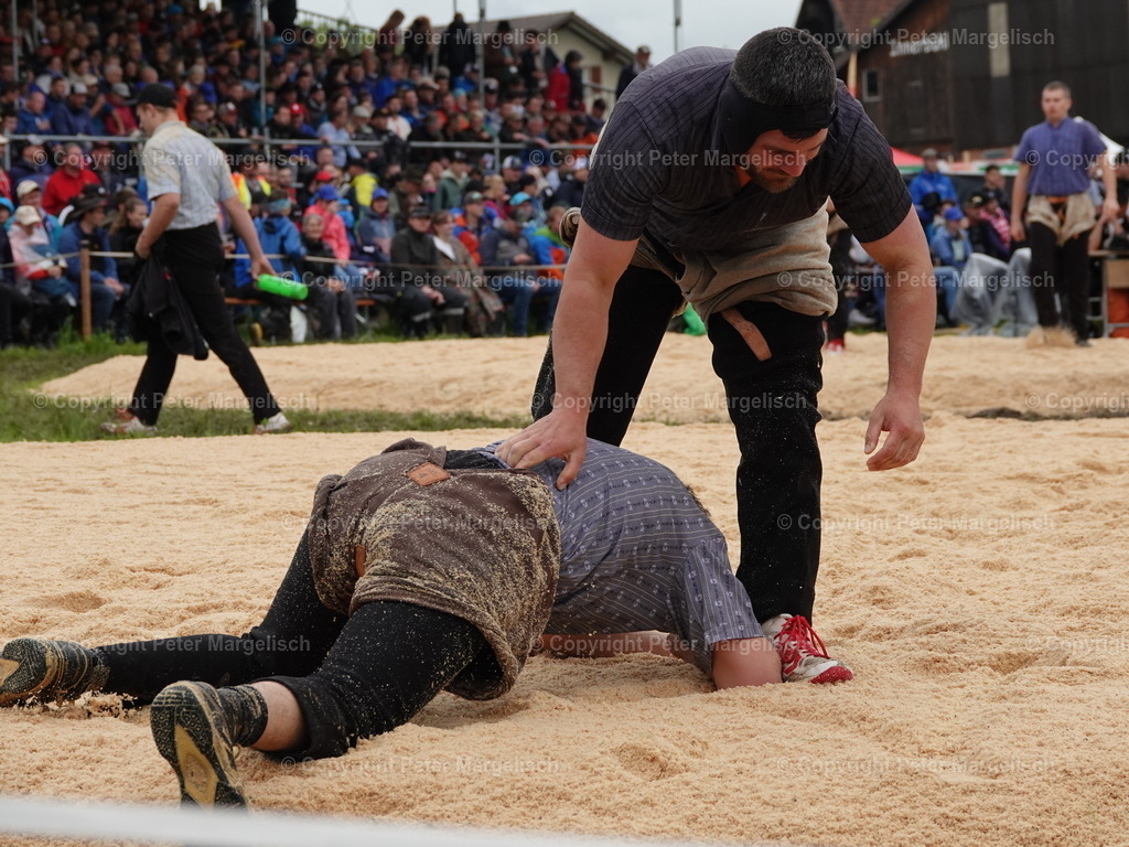 DSC07624 | Schwingen - Realisiert mit Pictrs.com