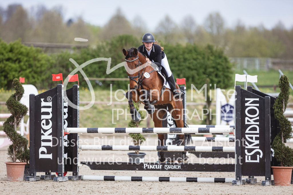 250419_Frühlingsfest_Stil-A2-1-507 | Deine schönsten Turniermomente als professionelle Fotos! Entdecke hochwertige Pferdesport-Fotografie im Online-Shop. Jetzt Fotos finden & bestellen!