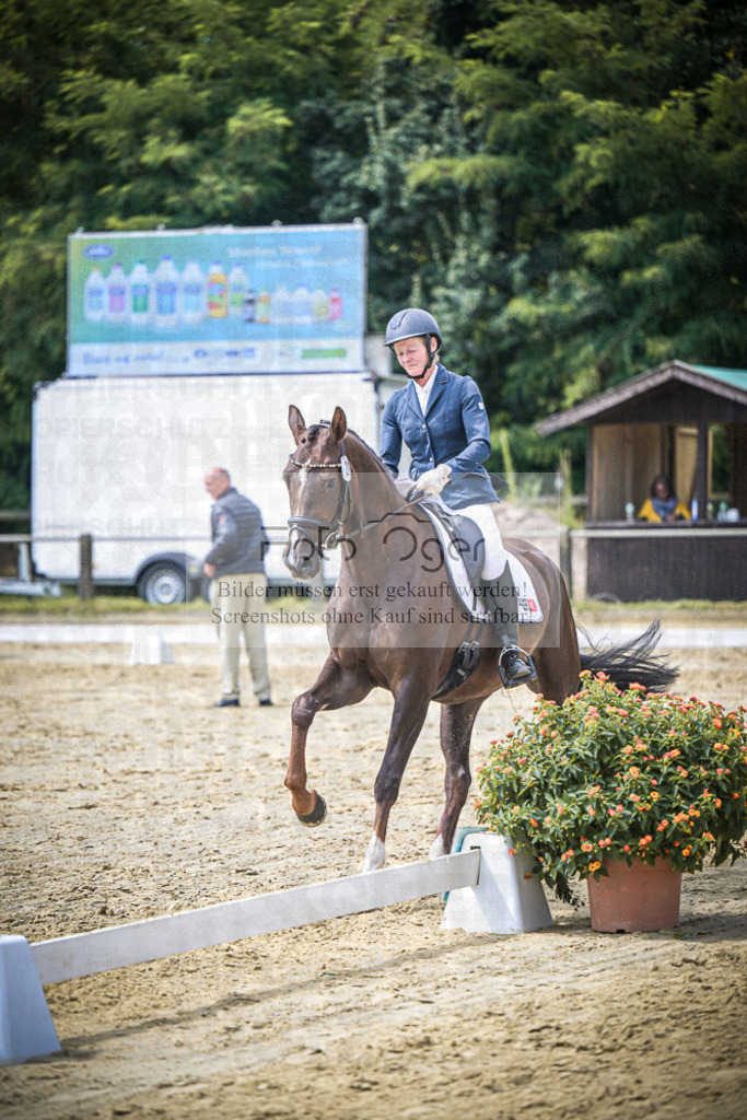 DOS_9978 | Entdecke hochwertige Reitturnierfotos von Foto Oger. Professionell, emotional und authentisch – jetzt Lieblingsmomente im Shop bestellen.Deutschlandweite Turnierfotografie. - Realisiert mit Pictrs.com