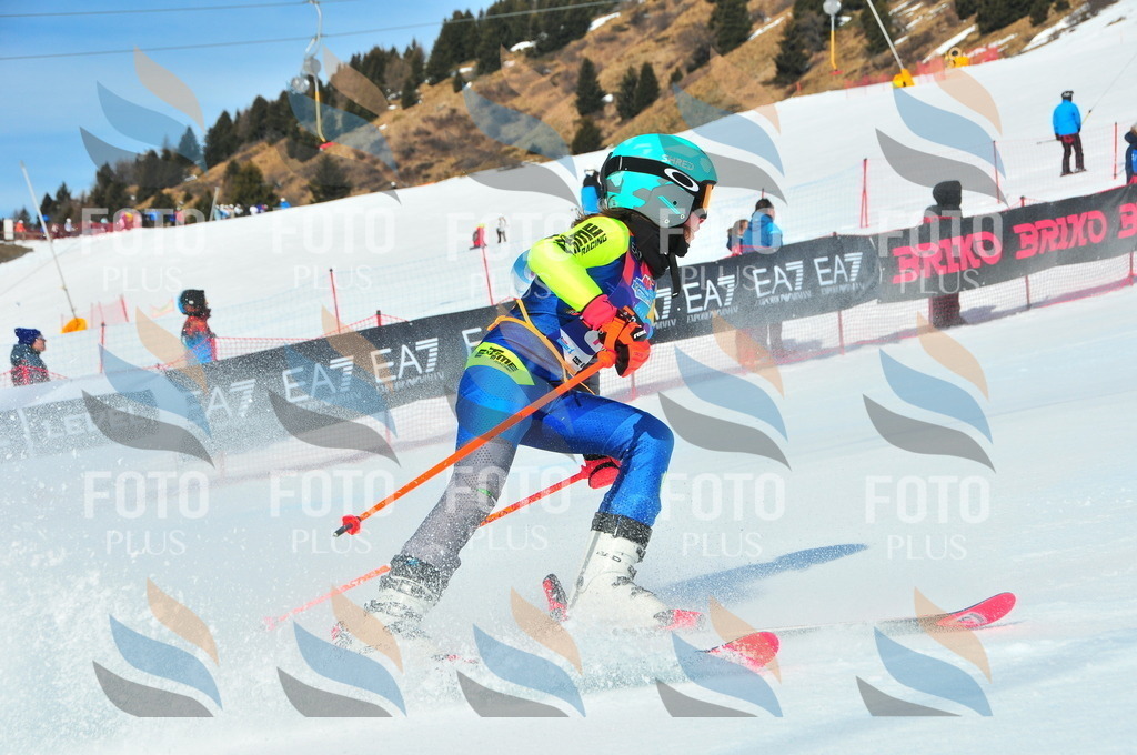 DSC_4603 | holidayphoto