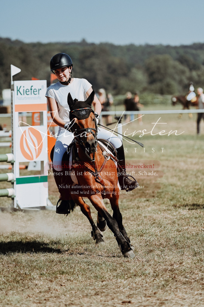 DSC_9952 | Pferde- und Turnierfotografie in Westsachsen. Pferdeportraits, Auftragszeichnungen und intuitive Kunst.