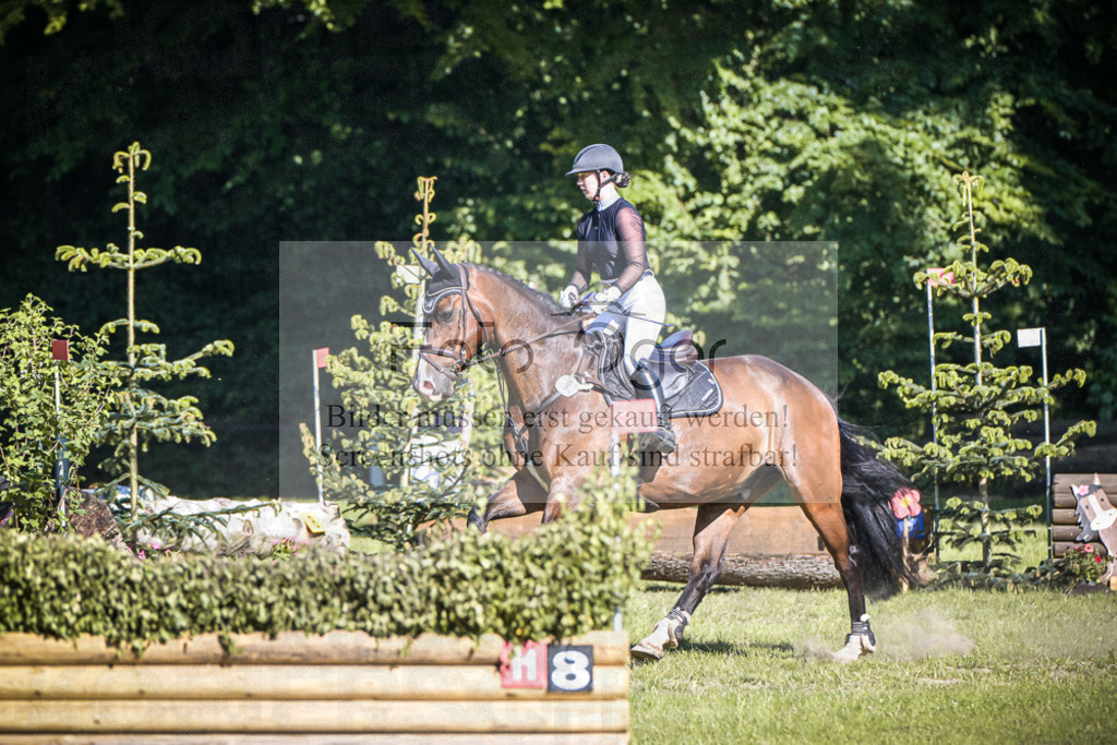 DOS_2276 | Entdecke hochwertige Reitturnierfotos von Foto Oger. Professionell, emotional und authentisch – jetzt Lieblingsmomente im Shop bestellen.Deutschlandweite Turnierfotografie. - Realisiert mit Pictrs.com