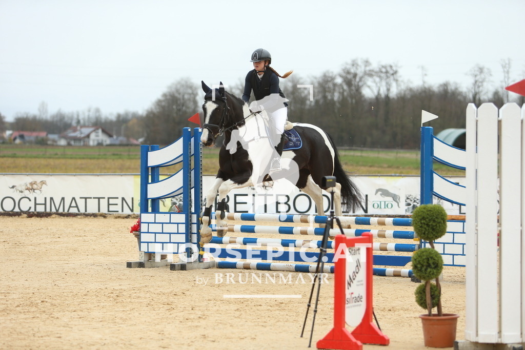 DL2Q1331 | Willkommen bei Brunnmayr - Design & Fotografie – Ihrem Spezialisten für Reitturniere und Pferdeveranstaltungen in Oberösterreich, Salzburg und Bayern! Seit über 17 Jahren sind wir leidenschaftlich dabei.