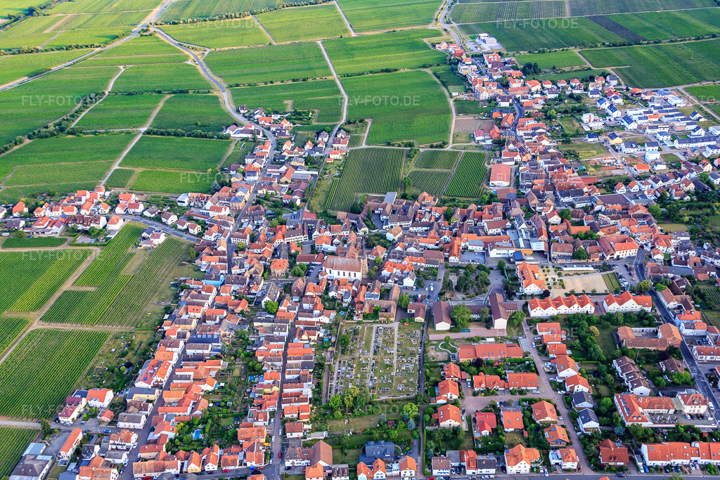 Luftbild: Winzerdorf am Haardtrand aus Norden im Ortsteil Diedesfeld in Neustadt im Bundesland Rheinland-Pfalz in Deutschland. Foto: IMG_082762.jpg vom 25.06.2015 durch Werner Riehm/FLY-FOTO.de