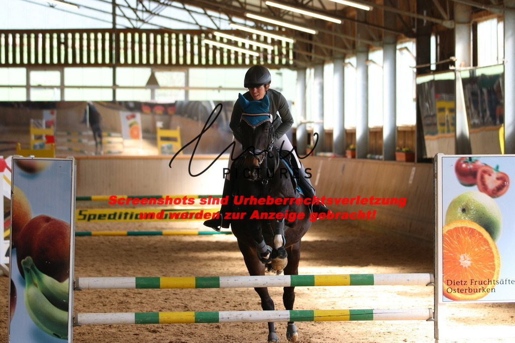 IMG_5294 | lmwpictures - Realisiert mit Pictrs.com