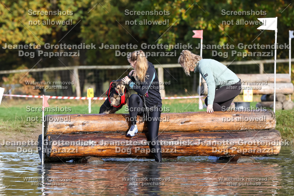 Dog Paparazzi - Strongdog 10-25-8372 | Dog Paparazzi Jeanette Grottendiek Fotografie & Videografie - Realisiert mit Pictrs.com