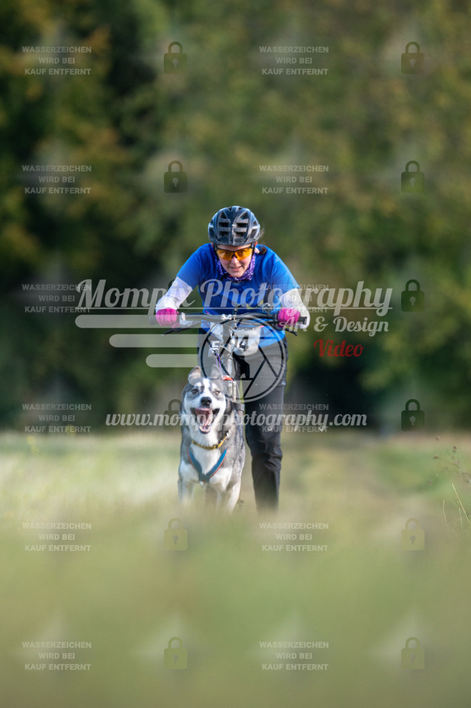 CDLBDB_15_10_2023_Dimanche-261 | PayLife