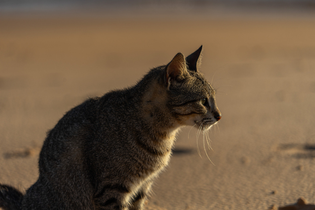 20251112-DeltaTour-0017 | paulependelt - Realisiert mit Pictrs.com