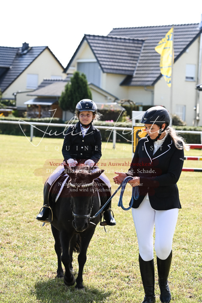 DSC_6821 | Pferde- und Turnierfotografie in Westsachsen. Pferdeportraits, Auftragszeichnungen und intuitive Kunst.