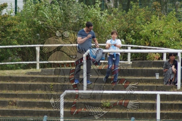 BFC Dynamo vs. Chemnitzer FC 021 | mythos-online-redaktion