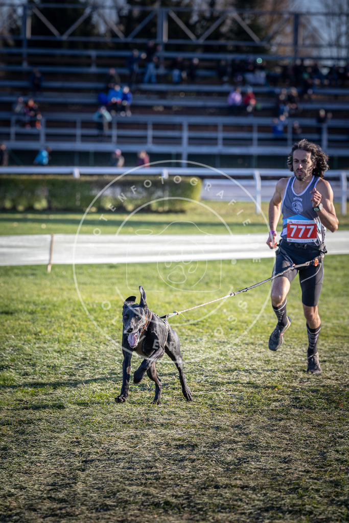 CaniXpix_DV3A2747 | Hundefotografie, Tierfotograf, Pfotenfotografie, Fotoshooting Hund, Hunde Portrait, Hundesport, Hundeportraits, Heideshooting, Hunde, Sportfotograf, Hundefotograf, Turnierhundsport, THS,  - Realisiert mit Pictrs.com
