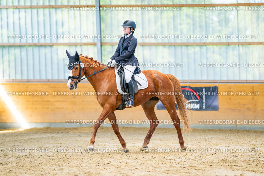 DSC07065 | Pferdegrafie