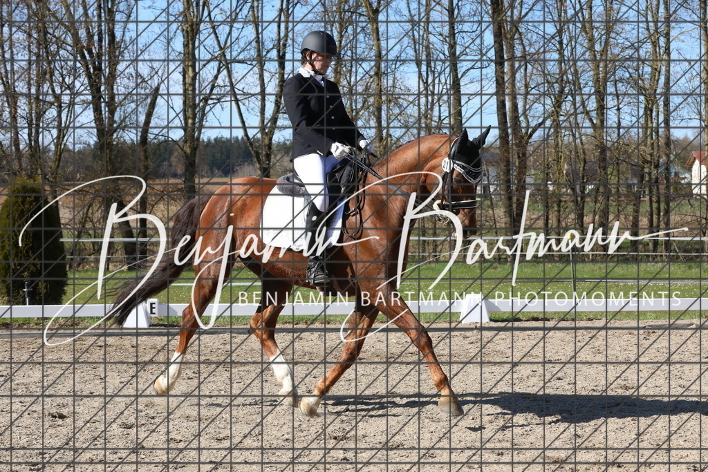 AZ2A5188 | Benjamin Bartmann Photomoments