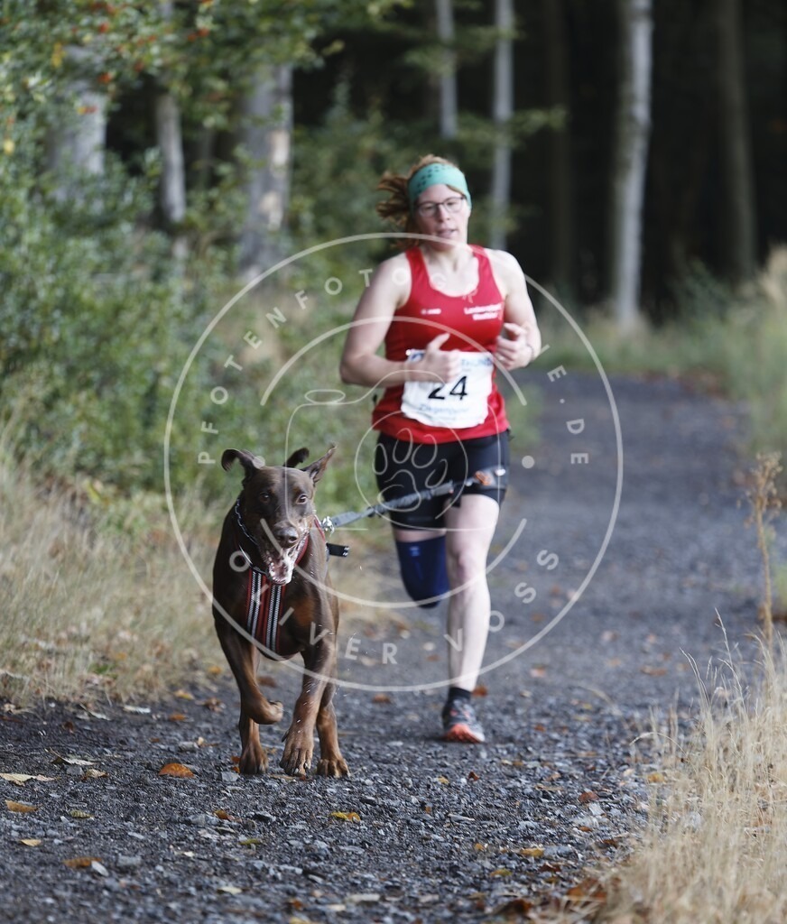 0L8A1507 | Hundefotografie, Tierfotograf, Pfotenfotografie, Fotoshooting Hund, Hunde Portrait, Hundesport, Hundeportraits, Heideshooting, Hunde, Sportfotograf, Hundefotograf, Turnierhundsport, THS,  - Realisiert mit Pictrs.com