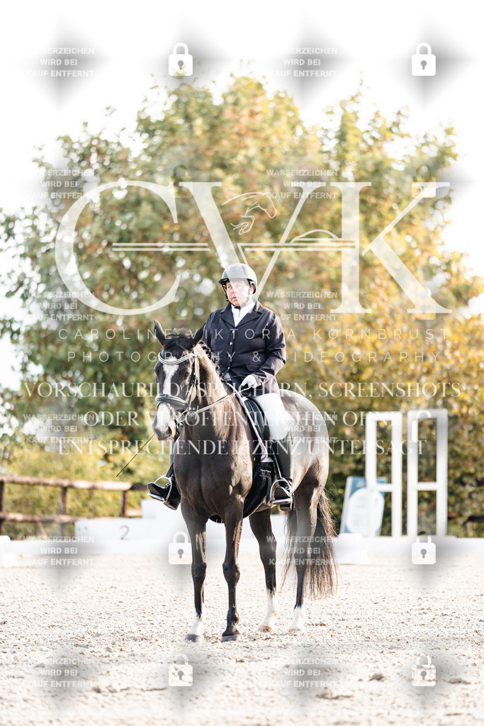 CK900370 | Turnierfotografie Pferdefotografie Trier Rheinland-Pfalz Pferdesport Reitsport Tierfotografie Sportfotografie Pferdevideo Pferdevideografie Equestrianvideography equestrianphotography  - Realisiert mit Pictrs.com