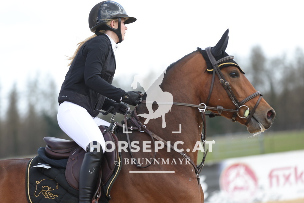 0P6A7195 | Willkommen bei Brunnmayr - Design & Fotografie – Ihrem Spezialisten für Reitturniere und Pferdeveranstaltungen in Oberösterreich, Salzburg und Bayern! Seit über 17 Jahren sind wir leidenschaftlich dabei.
