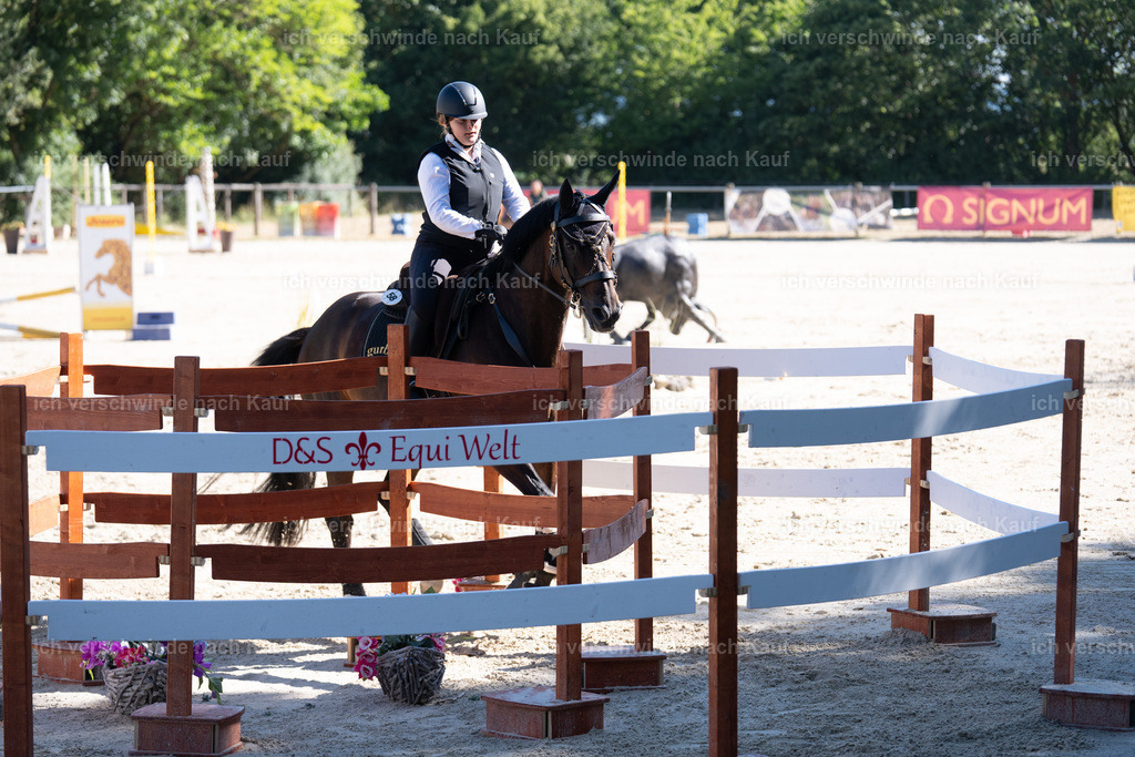 WL_SP_58_SinaFilmArt_IN05838 | working equitationturnier fotograf videograf stoibphotography marixx film working equitation deutschland reitsport turnierfotografie eventfotografie equestrian events