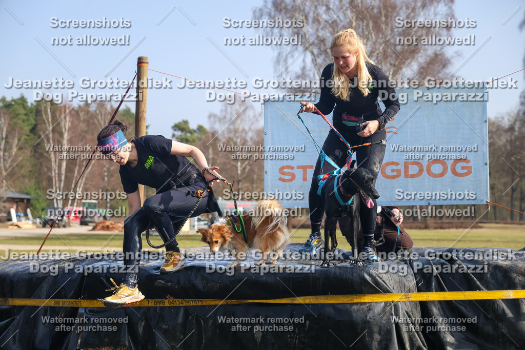 Dog Paparazzi - Strongdog North Mrz26-1878 | Dog Paparazzi Jeanette Grottendiek Fotografie & Videografie - Realisiert mit Pictrs.com