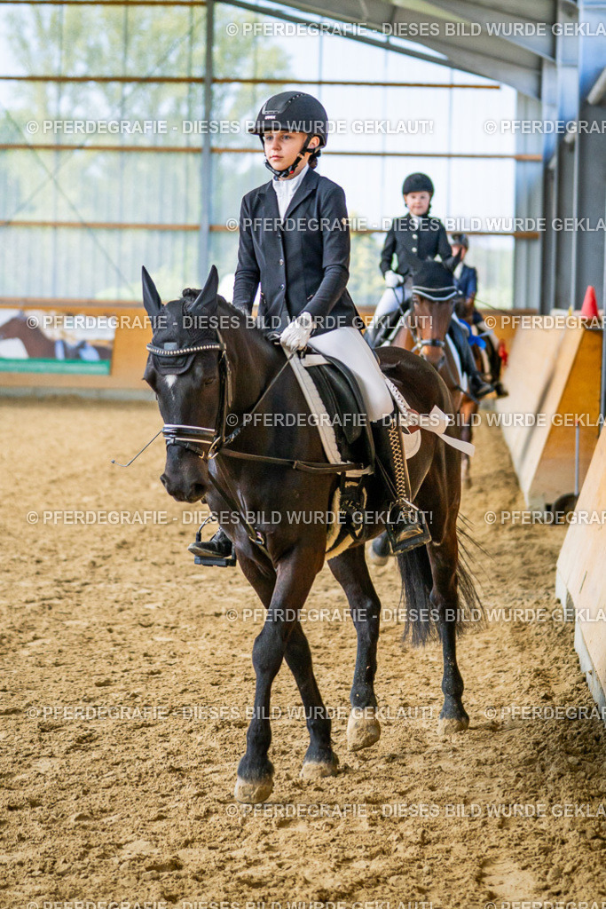 DSC02768 | Pferdegrafie