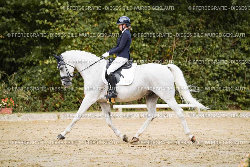 DSC02727 | Pferdegrafie