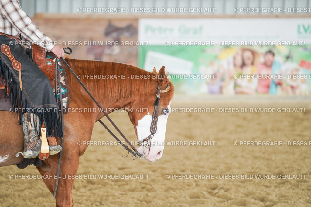 DSC04130 | Pferdegrafie