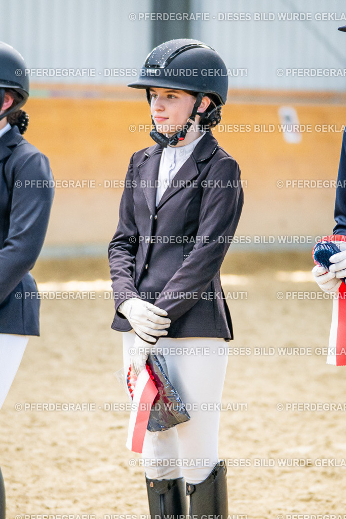 DSC05101 | Pferdegrafie