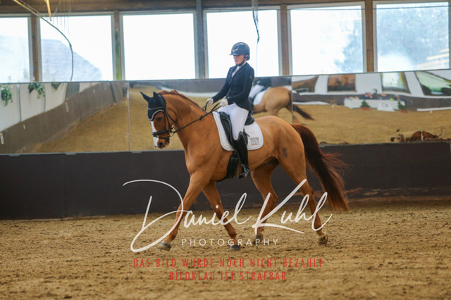 IMG_7618 | Turniersportfotografie; Pferdefotografie; Dressurfotografie
