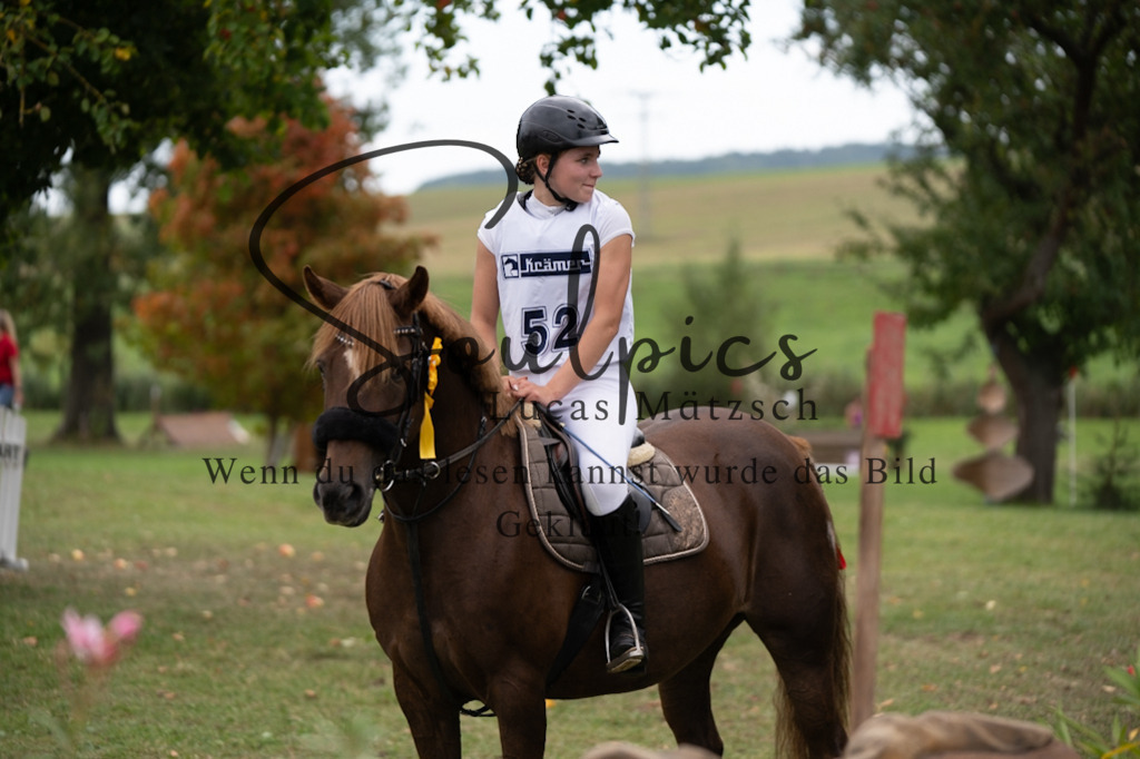 A7V03599 | Pferdefotograf