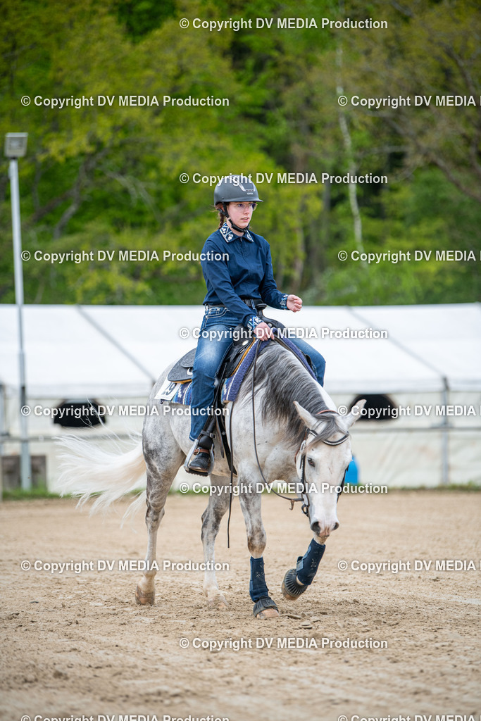 Heiligenwald Tag 2-1952 | dv-media-shop - Realisiert mit Pictrs.com