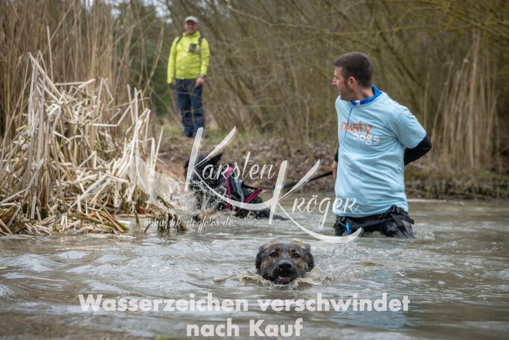 1337_ZZ91065 | kk-dogfotos