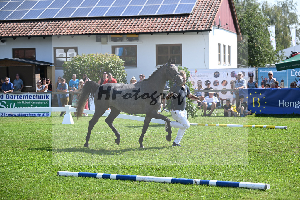 Kat-Nr. 28 nn v. Cayado_Sommer_34240587 | hf-fotografie - Realisiert mit Pictrs.com