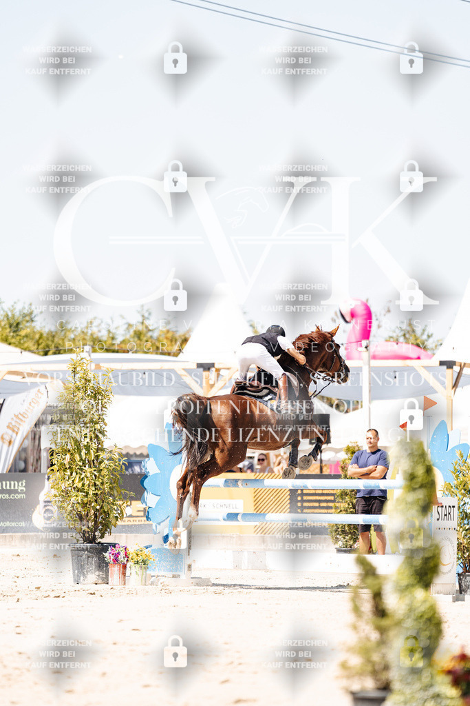 CK909856 | Turnierfotografie Pferdefotografie Trier Rheinland-Pfalz Pferdesport Reitsport Tierfotografie Sportfotografie Pferdevideo Pferdevideografie Equestrianvideography equestrianphotography  - Realisiert mit Pictrs.com