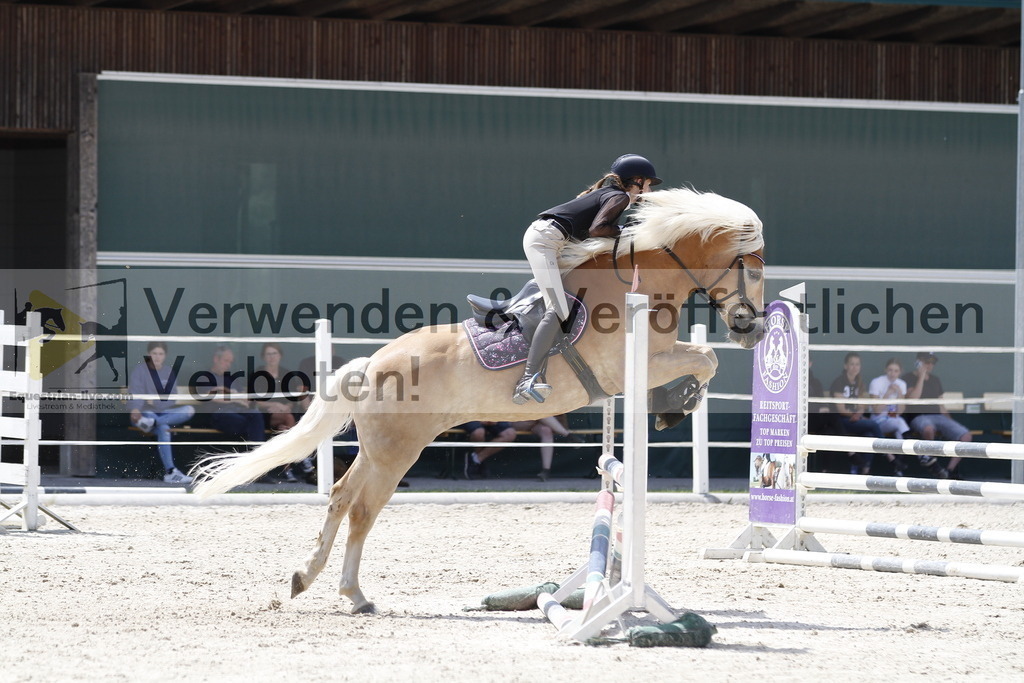 _MG_6412 | equestrian-live-com