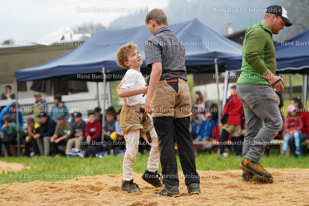 20220423-DSC08331 (2) | René Burch leidenschaftlicher Fotograf aus Kerns in Obwalden.  Hier finden sie Sport, Landschaft und Natur Fotografie.
 - Realisiert mit Pictrs.com